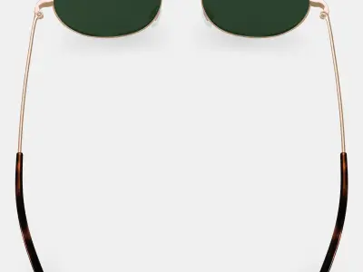 Merrick Sunglasses in Polished Gold 3D model