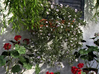 2020 XfrogPlants Flowers 2 Library  3D model