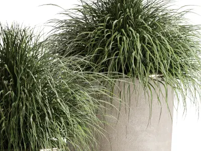 collection Indoor plant 54 vase concrete plant grass pot 3D model