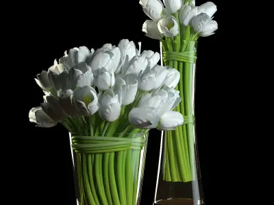 Tulips realistic two vases with 3D model