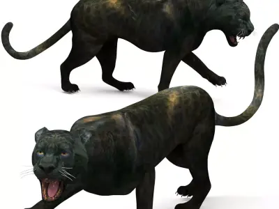 Black Panther Rigged And Animated Low-poly 3D model