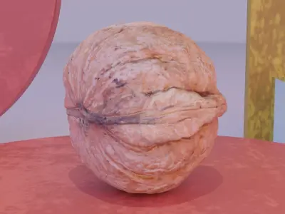 Walnut fruit 04 high-poly 3D model