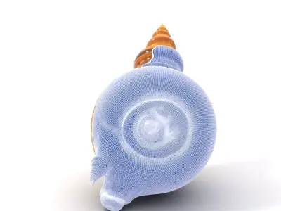 Spiral Nautilus Shell model pack Low-poly 3D model