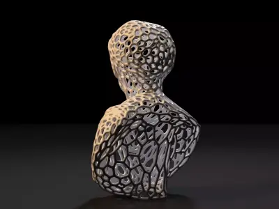 Bust of a priest Voronoi 3D print model