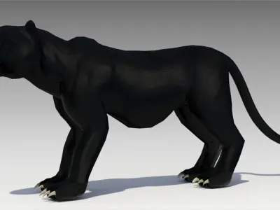 Black Panther Animated Low-poly 3D model