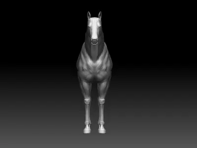 Horse Realistic Zbrush 3D model base mesh 3D model