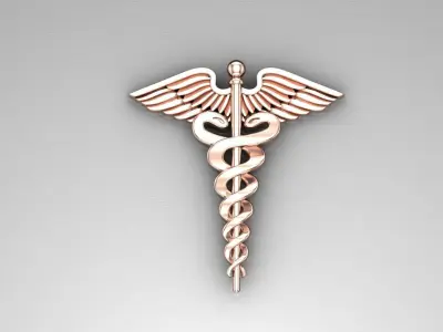 The Medicine Science Symbol 3D Print Model Brooches 3D print model