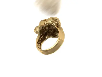 Monkey ring 3D print model