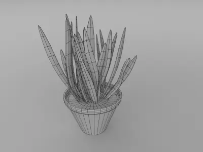 ALOE VERA PLANT Free low-poly 3D model