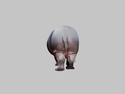 Cute Baby Hippo Roaring 3D Model Low-poly 3D model