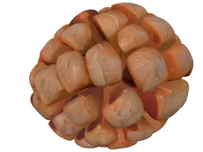 Realistic Detailed Pine Cone 3D Model Low-poly 3D model