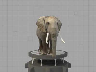 Elephant with tusks Low-poly 3D model