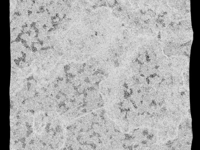 350-RockPanel sandstone wall texture 3D model
