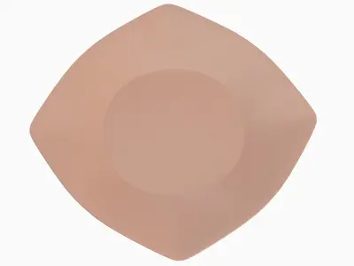 Disposable Plastic Plate A 05 Low-poly 3D model