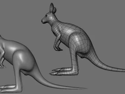 Kangaroo Male BaseMesh Low-poly 3D model