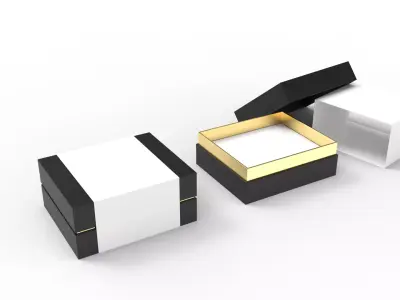 Luxury Box 1 3D model