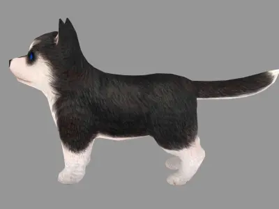 Cartoon pet puppy - Husky - baby dog Low-poly 3D model