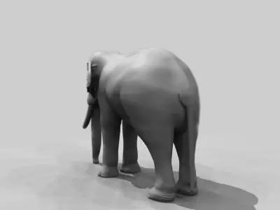 elephant 3d rig model 3D model purchase