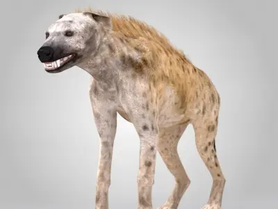 Hyena Rigged And Animated Low-poly 3D model