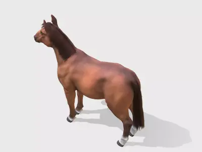 Horse - Stallion Low-poly 3D model