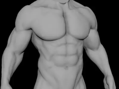 muscular sculpt base mesh humanly accurate 3D model