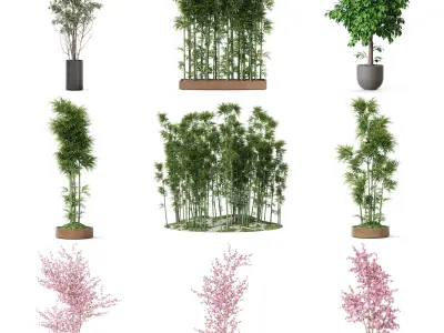 Plants collection vol 53