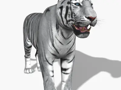 Awesome White Tiger - 3d model 3D model