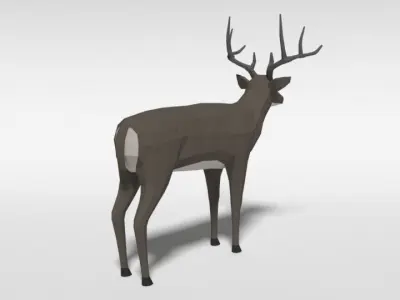 Low Poly Cartoon White-tailed Deer Low-poly 3D model