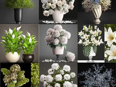 collection of bouquets 33 pieces 3D model