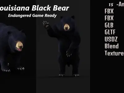 Louisiana Black Bear 3D model
