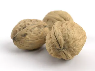 Three Different Photorealistic Walnut 3D Scans 3D model