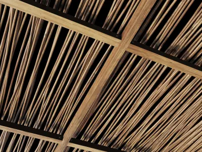 Ceiling thin branch crooked n1 3D model