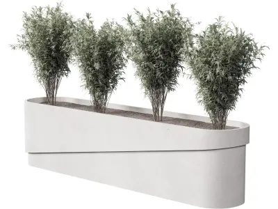 Plants Box Collection 3D model