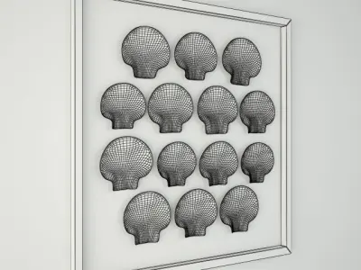 Scallop Shells 3D model