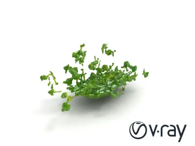 Fresh Watercress Leaf Textures model pack Low-poly 3D model