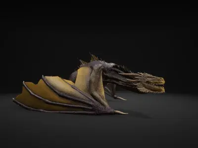 Dragon 12 Wyvern mount UE4 Low-poly 3D model