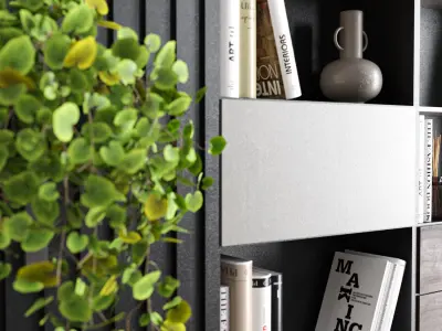 hallway002 bookcase with two bookshelves and plant 3D model