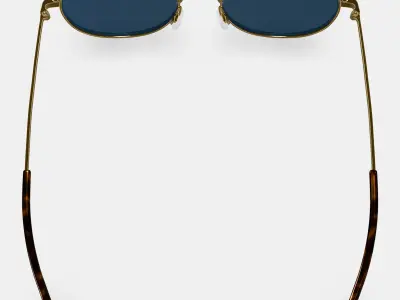 Albie Sunglasses in Polished Gold 3D model