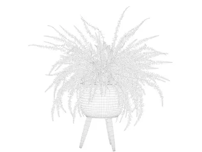 Fern in biedge pot 3D model