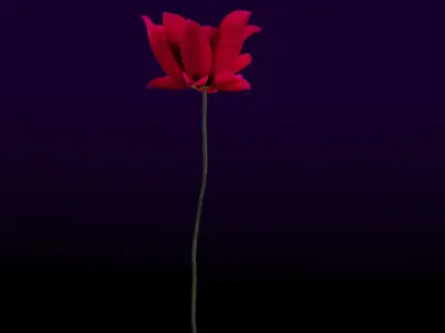flower Free 3D model buy