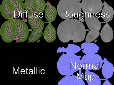 Tropical Plant Leaves Model Pack Low-poly 3D model