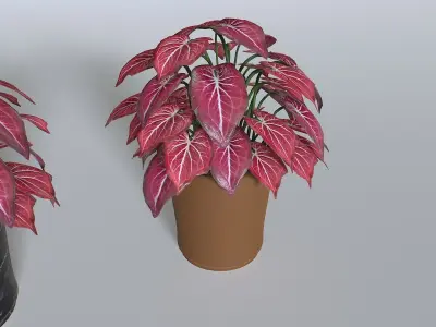 Pot Tropical Plant Pack 4 Low-poly 3D model