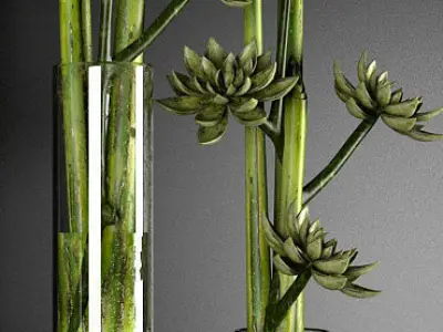 Decor plants 3D model