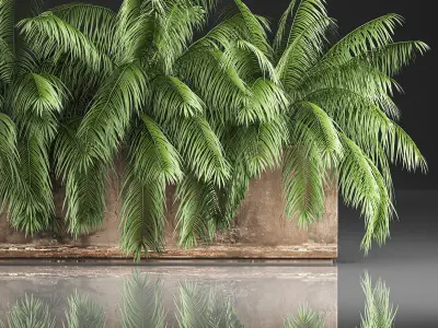 Palm bushes in a pot for the interior 952 3D model