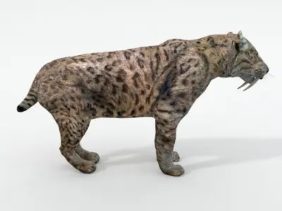 Saber-toothed Tiger Low-poly 3D model