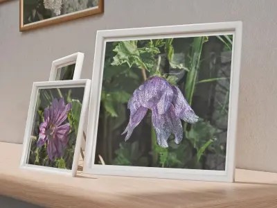 Wall Photo Frame Set with Nature Photography 3D model
