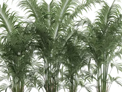 Decorative palm in a flowerpot 691 3D model