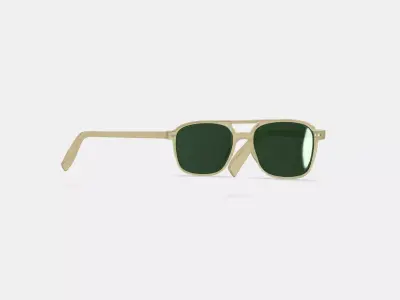 Brimmer Sunglasses in Honeydew 3D model