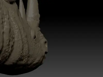 Rhino bust 3D model