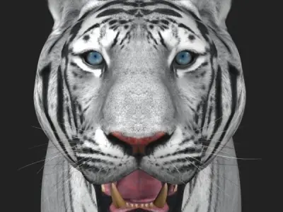 Awesome White Tiger - 3d model 3D model